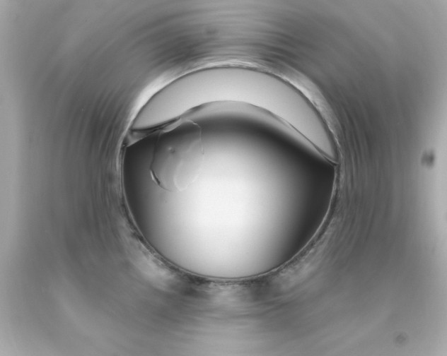X0000093131242200710241316
