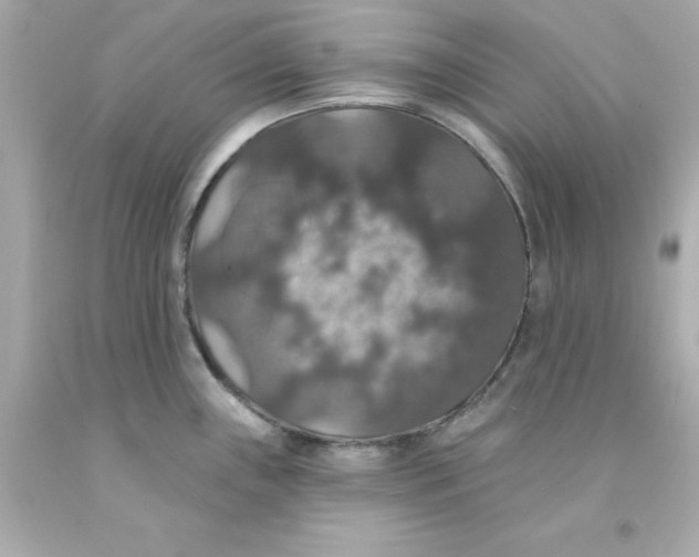X0000093131243200710241316