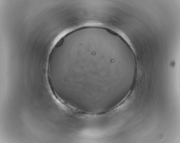 X0000093131245200710241316
