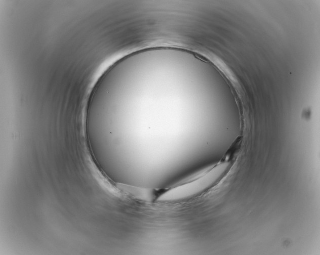 X0000093131246200710241316