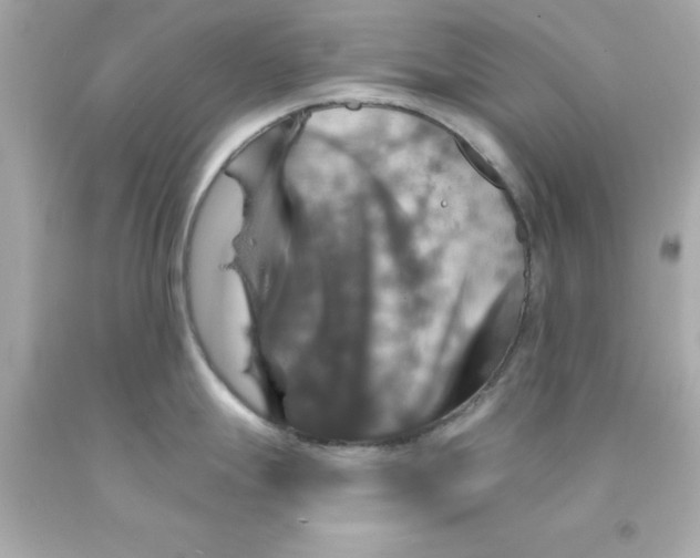 X0000093131247200710241316