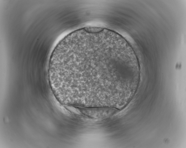 X0000093131248200710241316