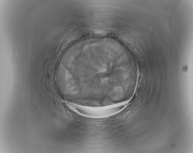 X0000093131249200710241316