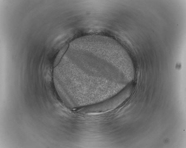 X0000093131250200710241316