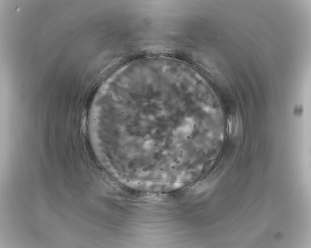 X0000093131251200710241316