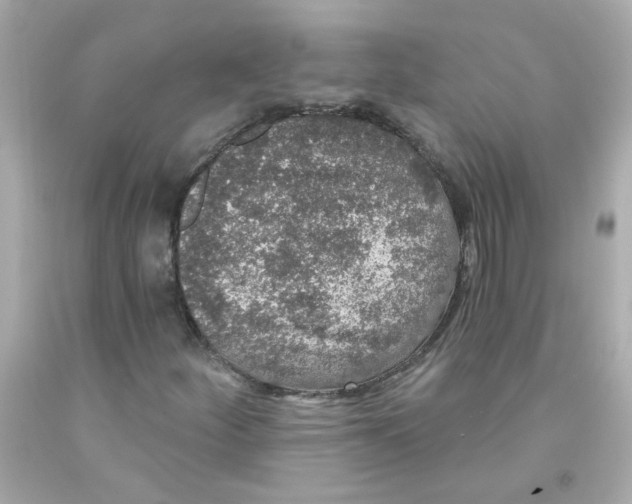X0000093131252200710241316