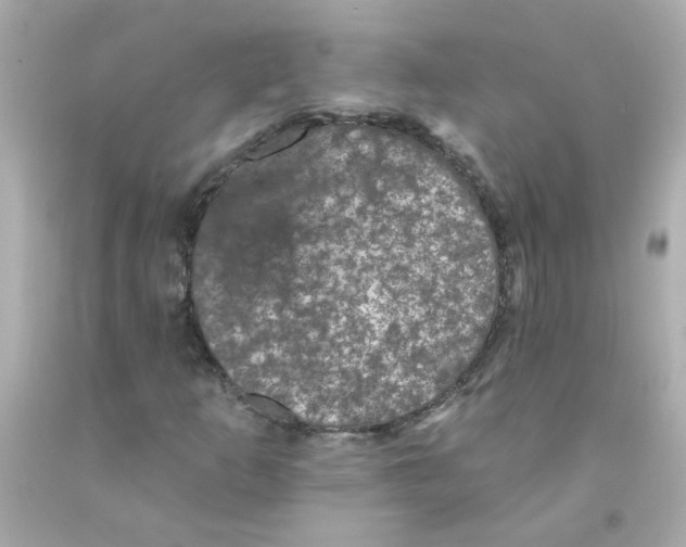 X0000093131253200710241316