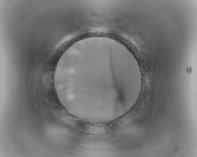 X0000093131254200710241316