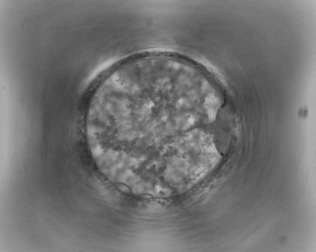 X0000093131255200710241316