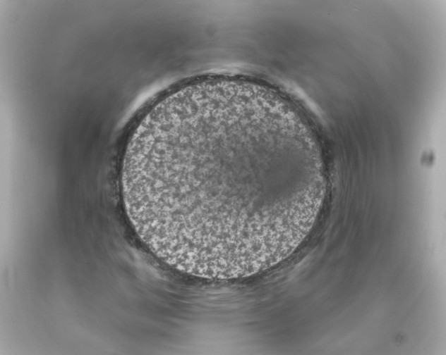 X0000093131256200710241316