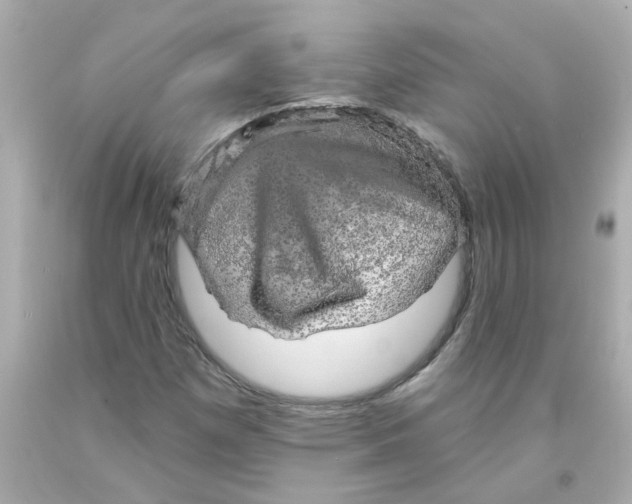 X0000093131257200710241316