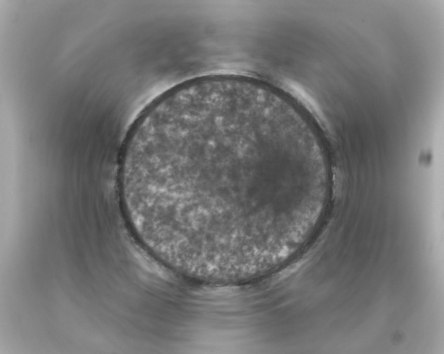 X0000093131260200710241316