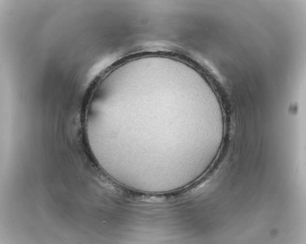 X0000093131261200710241316