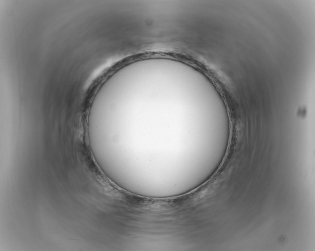 X0000093131262200710241316