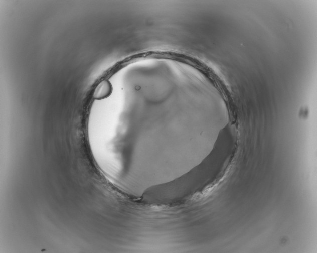 X0000093131263200710241316