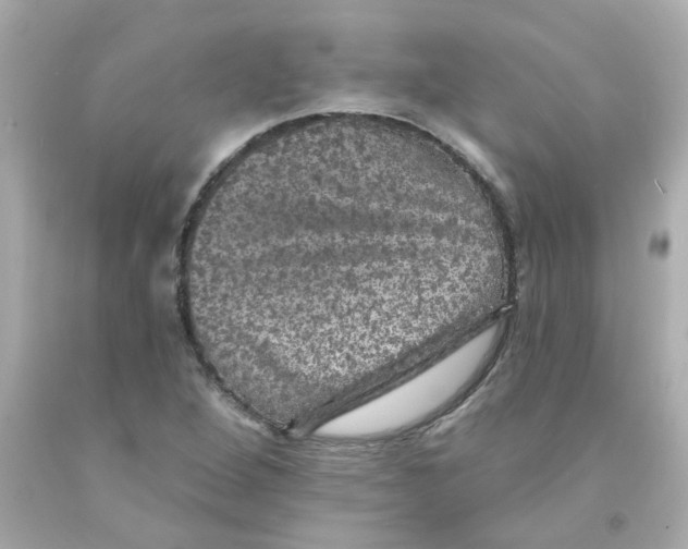 X0000093131264200710241316