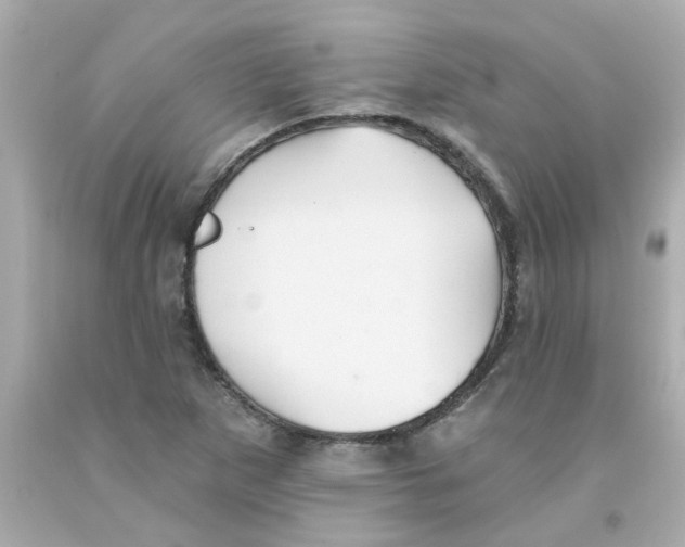 X0000093131265200710241316