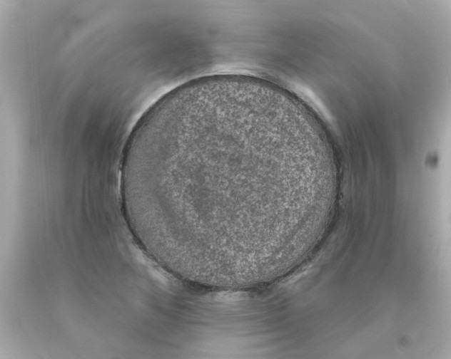 X0000093131268200710241316
