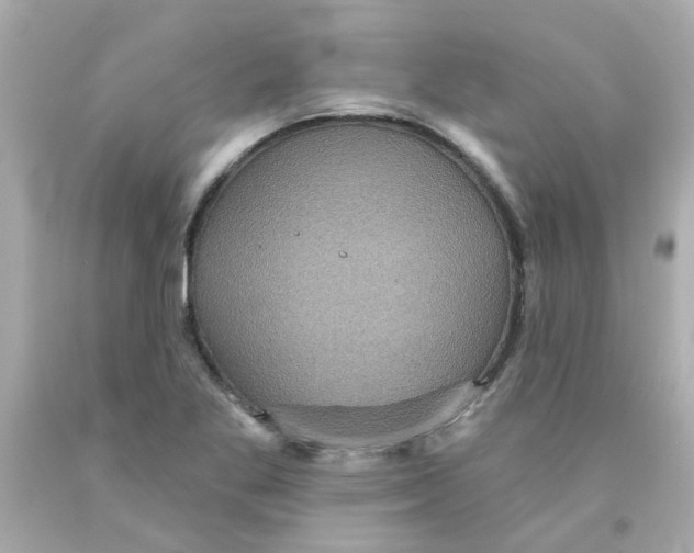 X0000093131269200710241316