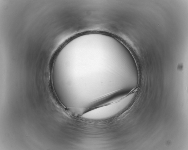 X0000093131270200710241316