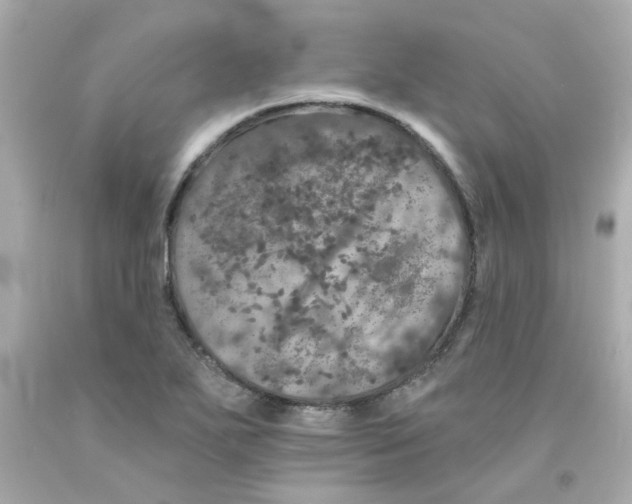 X0000093131271200710241315