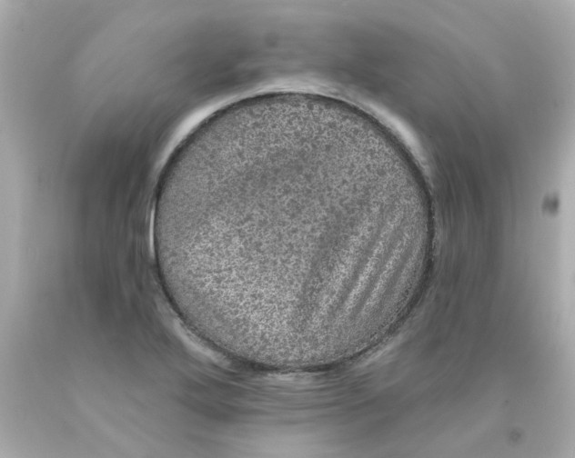 X0000093131272200710241315