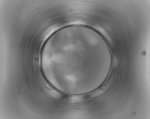 X0000093131274200710241315