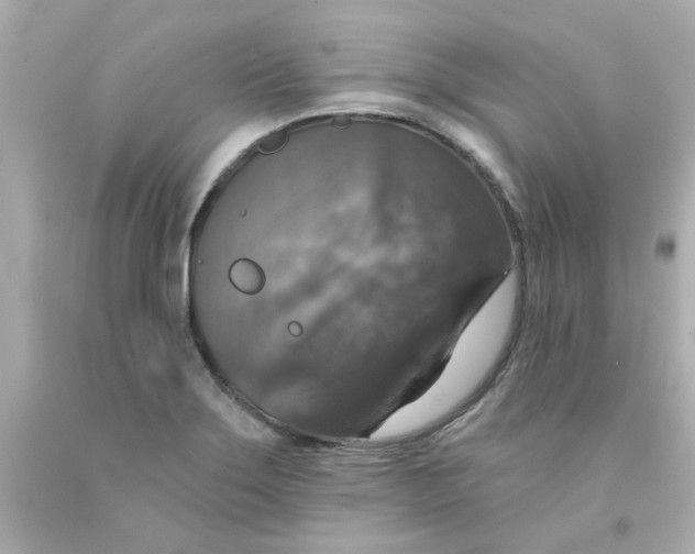 X0000093131275200710241315