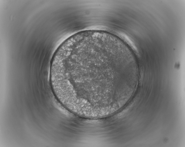 X0000093131276200710241315