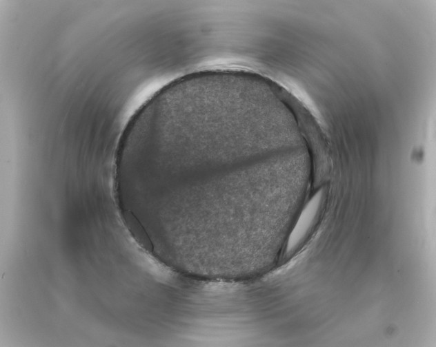 X0000093131277200710241315