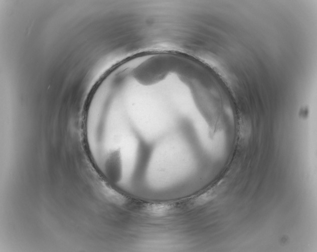 X0000093131278200710241315