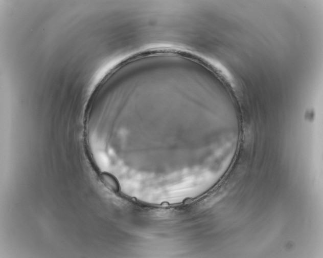X0000093131279200710241315