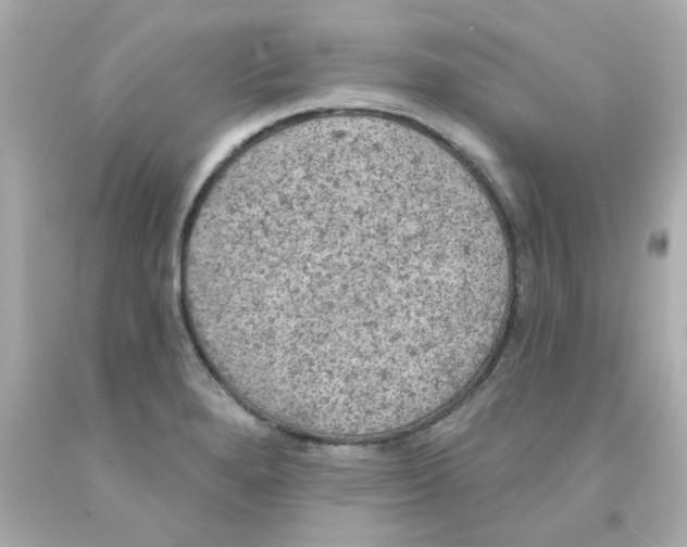X0000093131280200710241315