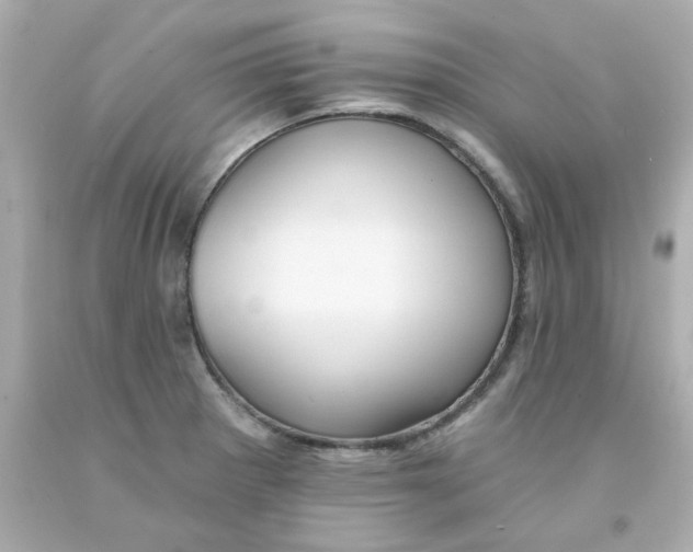 X0000093131281200710241315