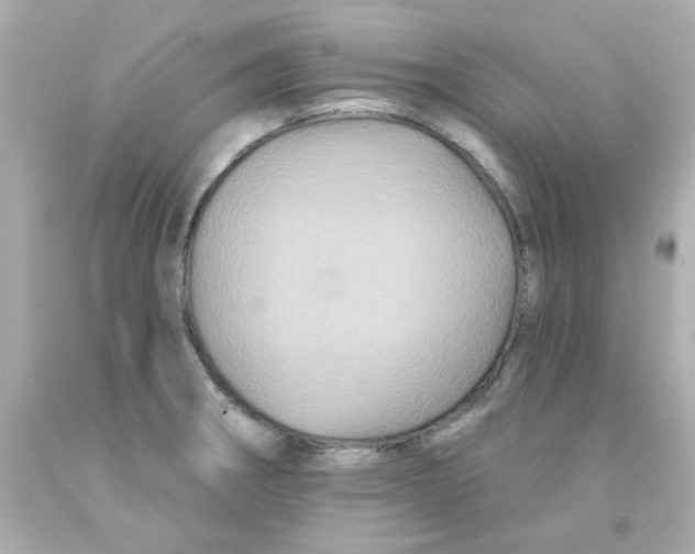 X0000093131282200710241315