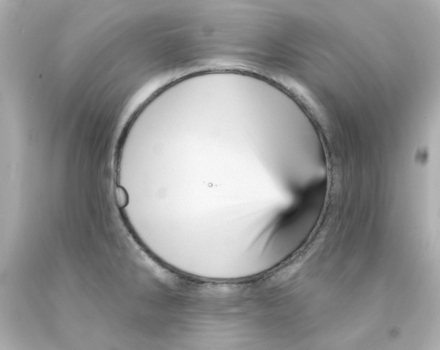X0000093131286200710241315