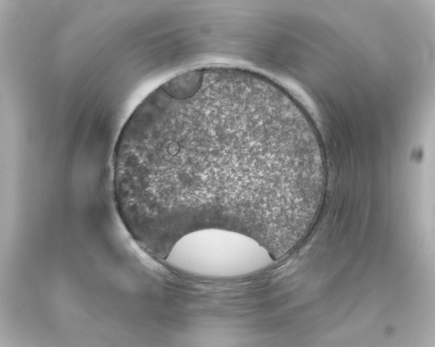 X0000093131287200710241315
