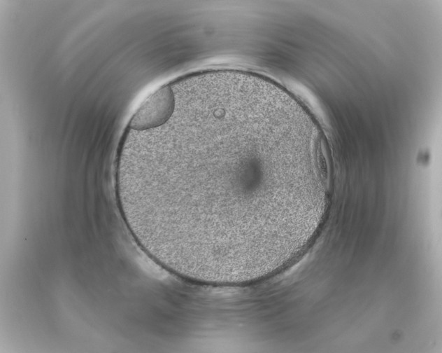 X0000093131288200710241315