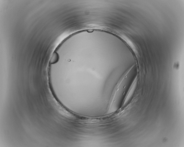 X0000093131291200710241315