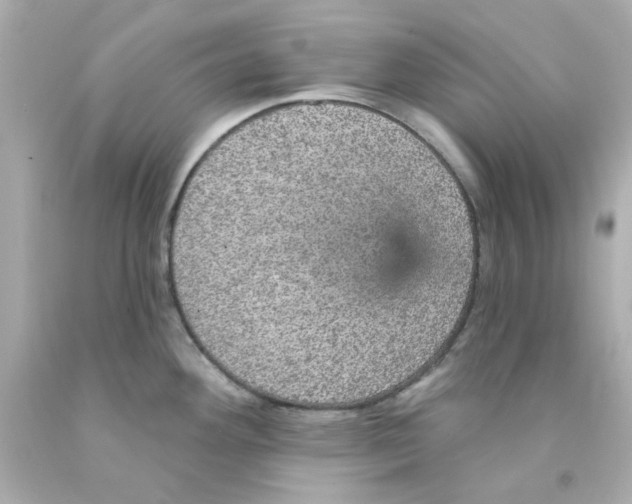 X0000093131292200710241315