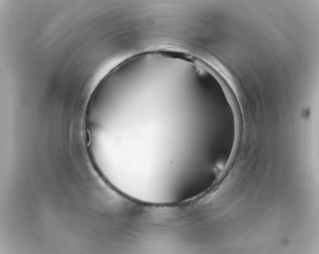 X0000093131293200710241315