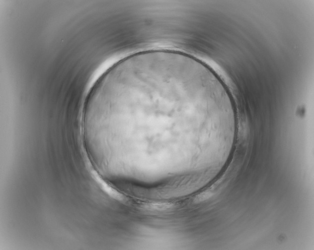 X0000093131294200710241315