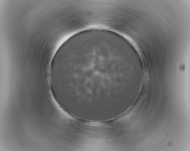 X0000093131295200710241315