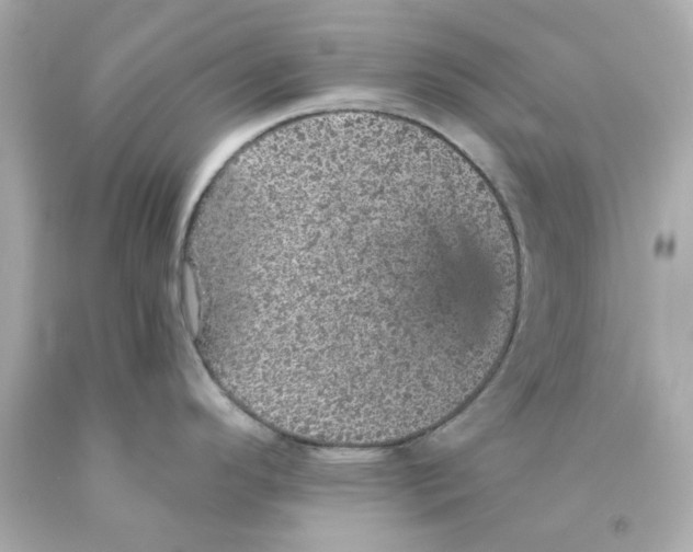 X0000093131296200710241315