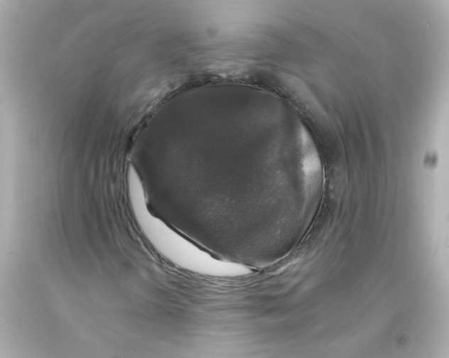 X0000093131298200710241315