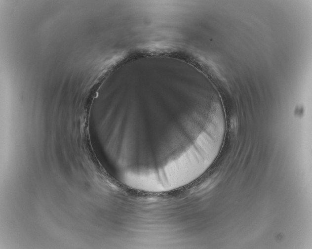 X0000093131300200710241315