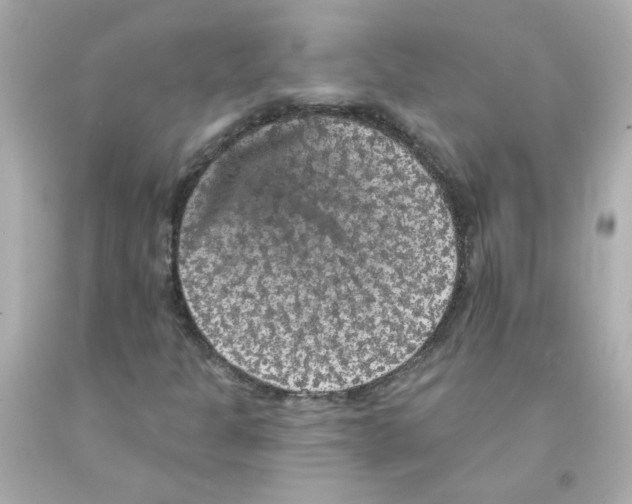 X0000093131301200710241315