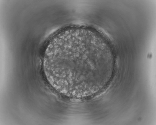 X0000093131302200710241315
