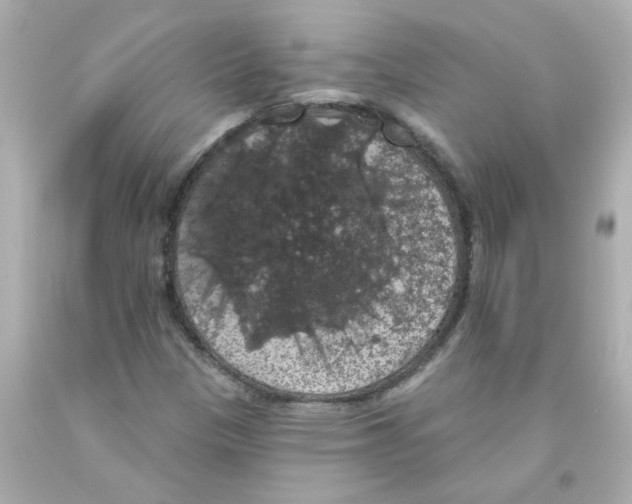 X0000093131305200710241315