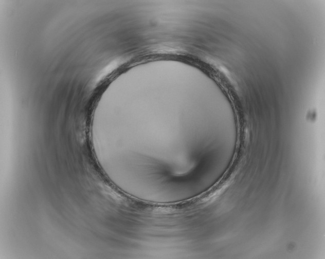 X0000093131306200710241315